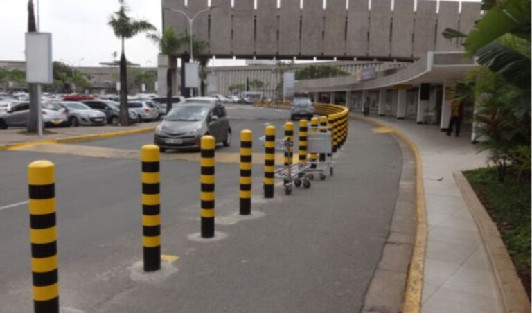 Court Fines Four Ksh1 Million Each for Attempted Smuggling of 5,000 Live Ants via JKIA